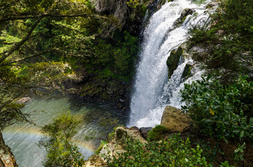 waterfall in the forest