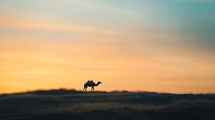 A solitary camel stands against the backdrop of a stunning sunset. The colors blend beautifully in the sky. A perfect moment of tranquility. Generative AI