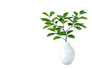 Elegant white vase with lush green plant, enhance your home decor with a touch of nature