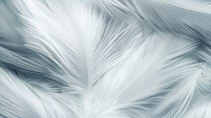 Obraz premium Soft feather-like textures blending in a monochrome abstract background, creating an ethereal minimalist composition