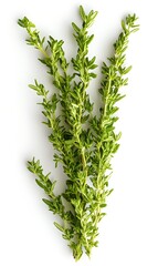 Obraz premium a group of green leaves