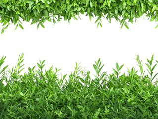 Elegant green leaf border on dark background, a natural frame for your designs green