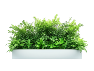 Stylish white planter with lush green plants, elevate your home or office decor enhance