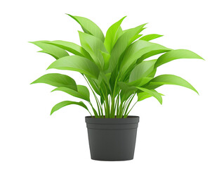 Flourishing green plant in a sleek black pot, elevate your indoor decor with nature's touch