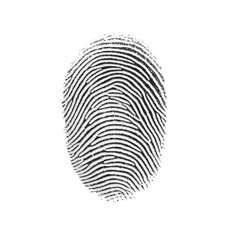 Fingerprint close-up, detailed gray fingerprint showcasing unique patterns, perfect for crime investigation themes, copy-space available Isolated on white background or PNG