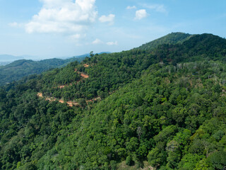 Beautiful tropical rainforest in summer season image by Aerial view drone shot, high angle view