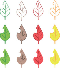 Fototapeta premium 12種の葉っぱ
