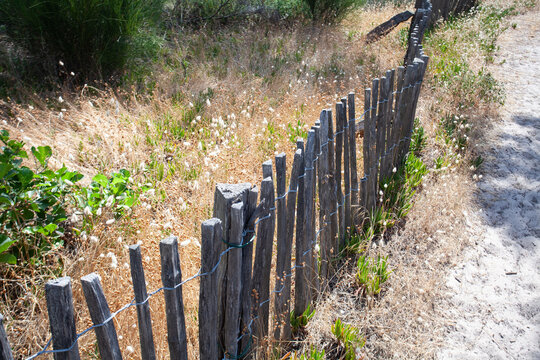 Sand fence to avoid erosion in Calvi Corsica at the mediterranean sea
