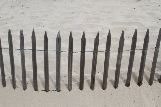 Sand fence to avoid erosion in Calvi Corsica at the mediterranean sea