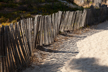 Sand fence to avoid erosion in Calvi Corsica at the mediterranean sea