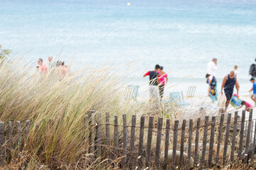 Sand fence to avoid erosion in Calvi Corsica at the mediterranean sea