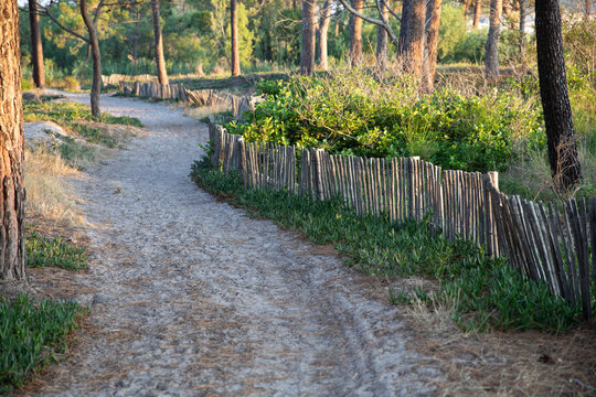 Sand fence to avoid erosion in Calvi Corsica at the mediterranean sea