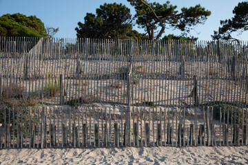 Sand fence to avoid erosion in Calvi Corsica at the mediterranean sea