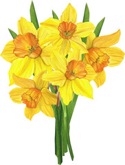 bouquet of daffodils, yellow flowers, watercolor illustration for tableware, textiles