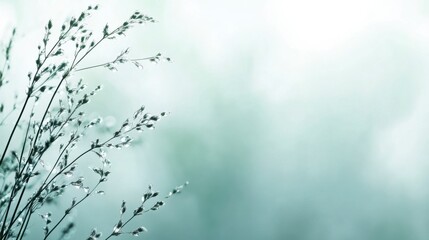 Whispers of Serenity: Delicate sprigs of foliage dance against a soft, blurred backdrop of serene hues, evoking a sense of calm and tranquility