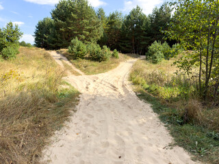 A dirt road with two paths leading in opposite directions