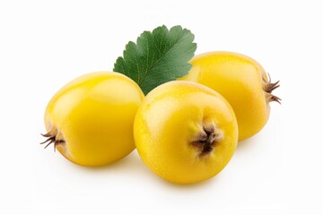 ripe yellow hawthorn fruits isolated on white background. Crataegus monogyna berries, healthy food for heart