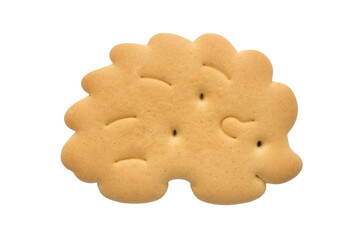 Cracker hedgehog cookies isolated on a white background.