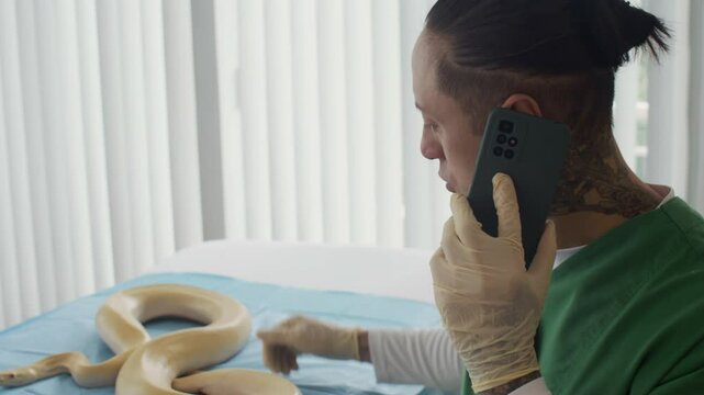 Tilt down shot of tattooed male herpetologist talking on smartphone while touching skin of albino python in modern clinic