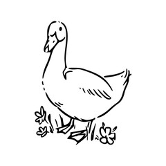 black and white sketch of a goose