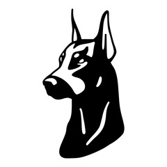 black and white dog portrait