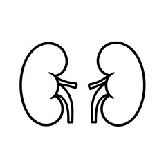 Kidney Illustration: A detailed illustration of a pair of kidneys, essential organs for filtering blood. Perfect for medical and educational purposes.