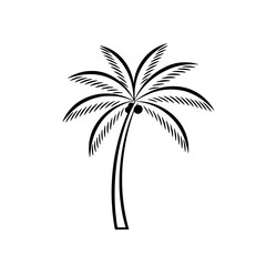 Obraz premium Tropical Silhouette: An elegant black and white silhouette of a palm tree, with lush fronds, against a bright sky, evoking feelings of escape and relaxation.