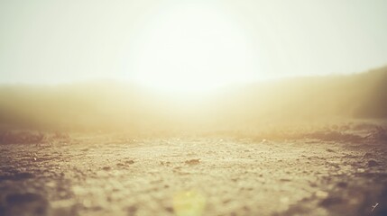 Golden Hour Desert Landscape: Warm Yellow Light on Dry Ground