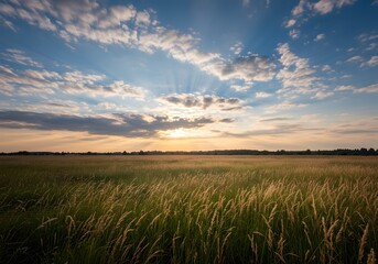 Fototapeta premium Golden Grass Field at Sunset with Dramatic Sky and Sun Rays