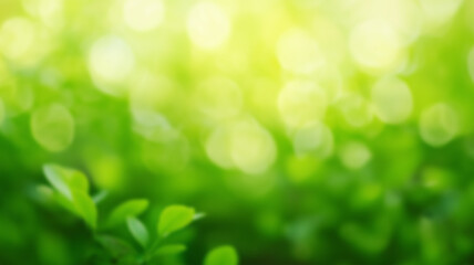 Obraz premium Blur natural green leaves bokeh background. Green bokeh on nature abstract blur background. AI Generated Images