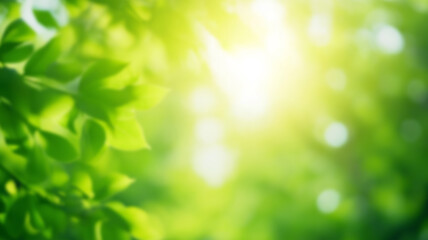 Fototapeta premium Nature of green leaf in garden at summer. Natural green leaves plants using as spring background cover page greenery environment ecology lime green wallpaper. AI Generated Images