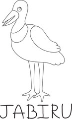 standing jabiru bird with text below hand written