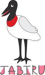 standing white bird jabiru with red and black neck with colorful text below hand written