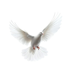 Obraz premium A white dove flying in the air, isolated against a transparent background.
