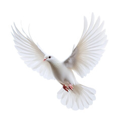 Obraz premium A white dove flying in the air, isolated against a transparent background.