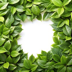 Green leaves forming a natural frame.