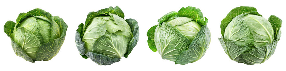 Fototapeta premium Fresh green cabbage isolated on transparency background, showcasing its vibrant leaves and texture