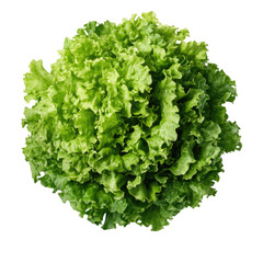 green lettuce on a transparent background,