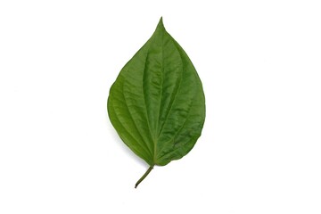 Obraz premium Fresh Green Betel Leaves Isolated Against a White Background