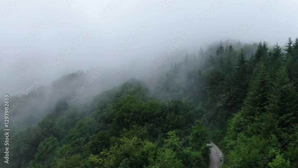 Poster time lapse of cloudy mountain forest view with dense trees and a winding path mist obscures the peak