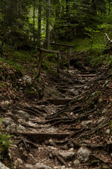 Pericnik waterfall is a beautiful drop from the mountain cliff, in Triglav National Park. Slovenian waterfall. Long for walking and trekking, enter inside the cave to admire it. Powerful and majesty.