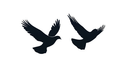 Fototapeta premium Two doves in graceful flight, soaring against a stark white background, symbolizing peace and freedom in a minimalist, elegant silhouette.