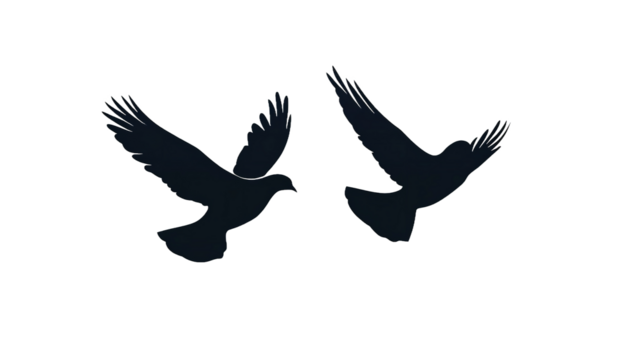 Two doves in graceful flight, soaring against a stark white background, symbolizing peace and freedom in a minimalist, elegant silhouette.