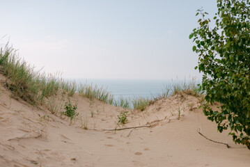 A Lakeview from the Dunes