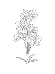 Larkspur July birth month flower line art drawing. Delphinium black ink sketch. Modern minimalist design logo, tattoo, wall art. Vector monochrome illustration isolated