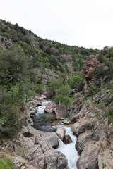 Blick in die Schlucht Gorges du Prunelli auf der Französischen Mittelmeerinsel Korsika	