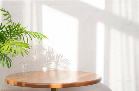 Empty clean round table with green palm leaves and sun light shadows on abstract texture white wall background