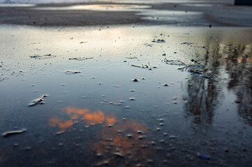 Wet pavement reflects the sky and trees in a moody urban scene. Reflective puddle, peaceful mood, urban environment, textured wet ground, natural elements, soft lighting, abstract feel, calm setting.
