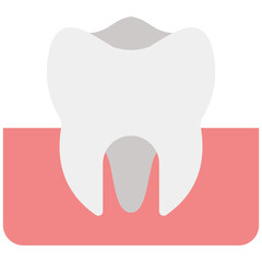 Molar Icon