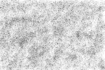 A detailed, high-contrast monochrome texture filled with a dense array of small, organic-looking specks, creating a rich, grainy effect.
